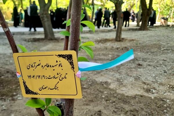 کاشت ۱۷ نهال به یاد بانوان شهیده خدمت در منطقه ۵ پایتخت