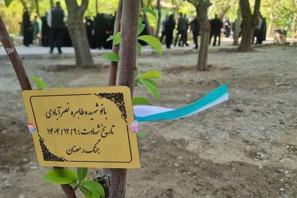کاشت ۱۷ نهال به یاد بانوان شهیده خدمت در منطقه ۵ پایتخت