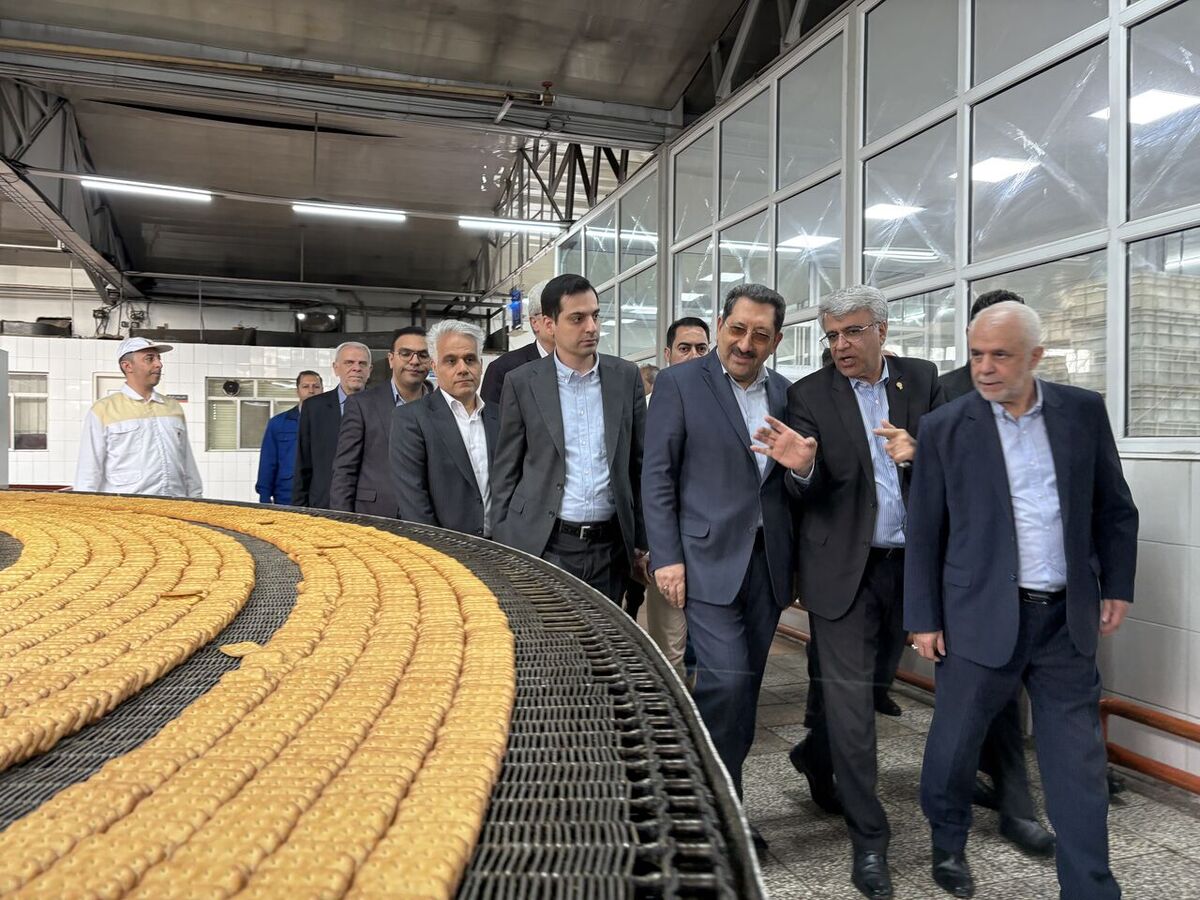 اتابک: وظیفه دولت و تمامی دستگاه‌ها حمایت همه جانبه از تولید است