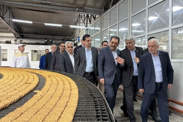 اتابک: وظیفه دولت و تمامی دستگاه‌ها حمایت همه جانبه از تولید است
