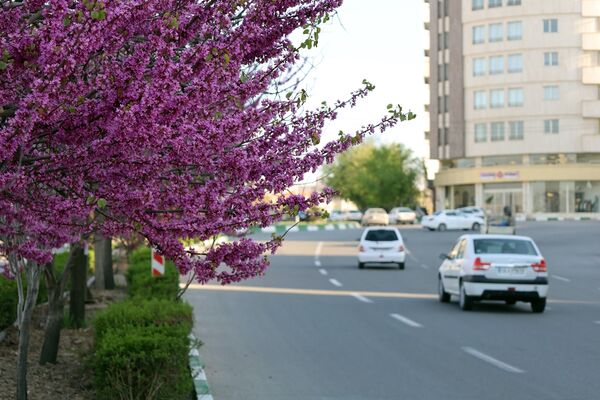 ارومیه شهر رویایی