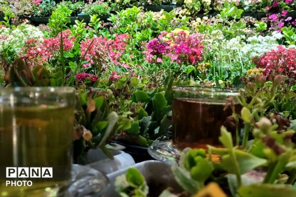 روایتِ شورِ ولایت در قاب دوربین خبرنگار بختیاری 