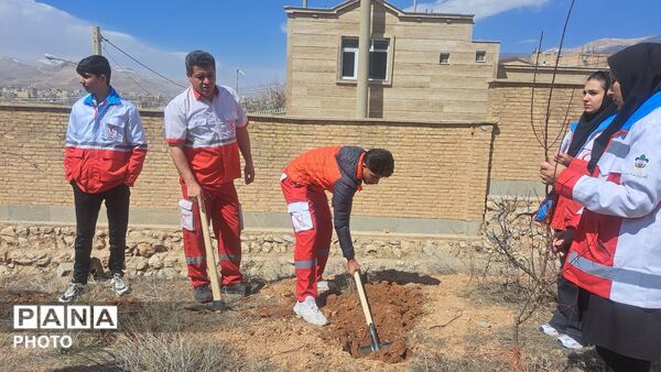پویش درختکاری، طرح نهضت ملی 