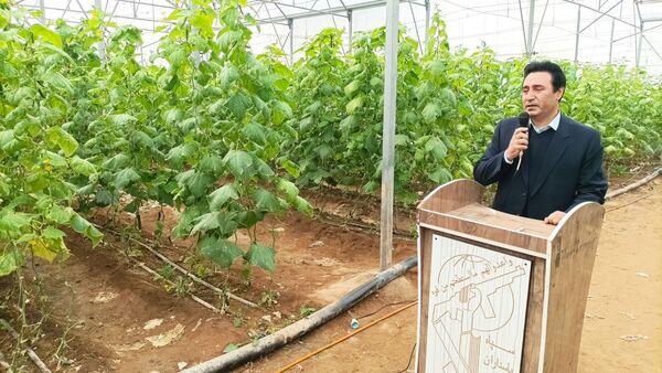 بازدید از گلخانه نمونه خسروشاه در هفته بسیج