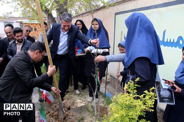 کاشت نهال همزمان با چهلمین روز شهادت فرشتگان میناب 