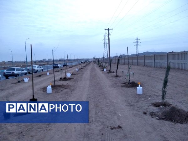 پویش مردمی درخت یادگار در یزد 