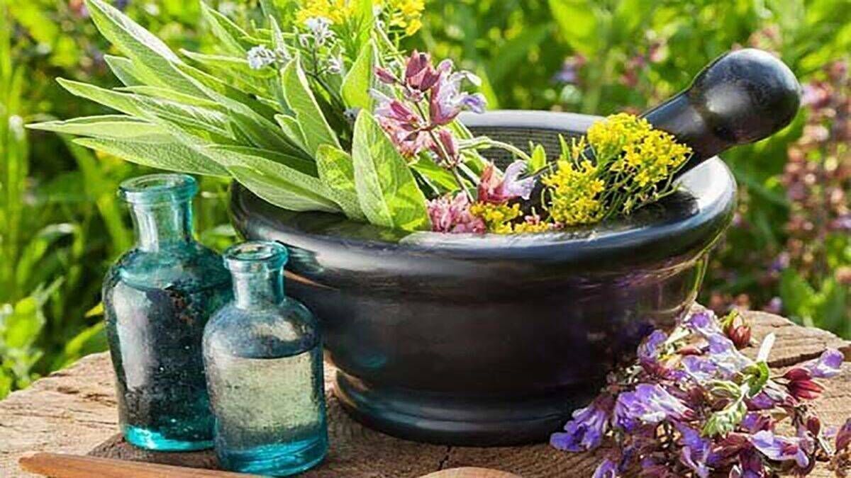 مستند «حنیر»؛ روایتی دلنشین از سنت‌های کهن هرمزگان در قاب شبکه دو