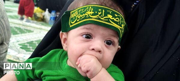 مراسم شیرخوارگان حسینی در گچساران 