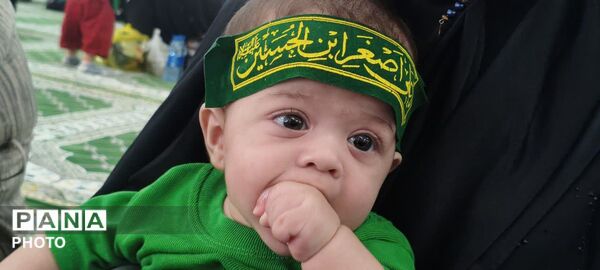 مراسم شیرخوارگان حسینی در گچساران 