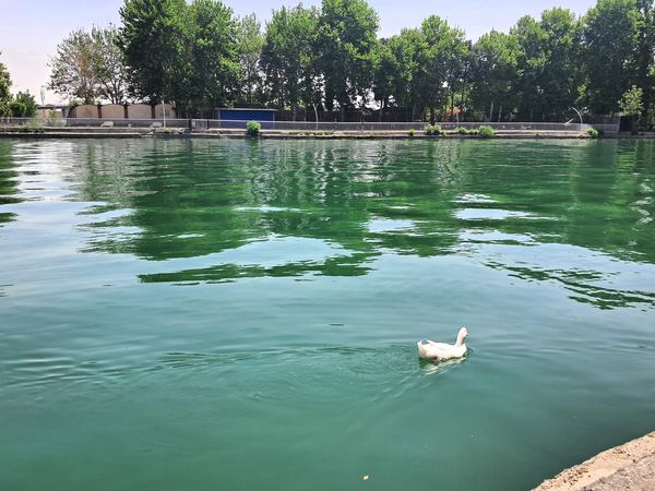بازدید از باغ وحش ارم ،تجربه‌ای بی‌نظیر در دنیای شگفت‌انگیز حیوانات 