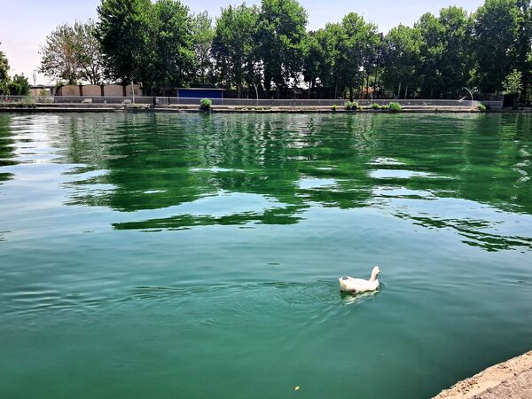 بازدید از باغ وحش ارم ،تجربه‌ای بی‌نظیر در دنیای شگفت‌انگیز حیوانات 