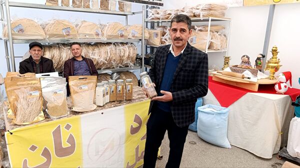 نمایشگاه یلدا در سایه‌سار چنار کهن لاهیجان تبریز گشایش یافت