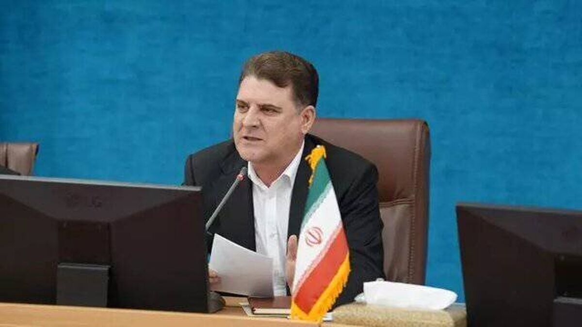 زینی‌وند: انتخابات شوراها در تهران تناسبی برگزار می‌شود