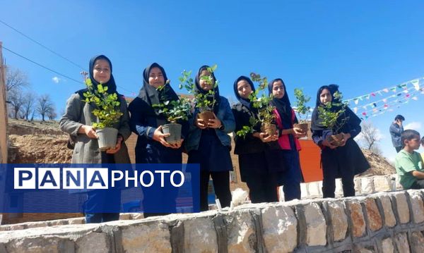 کاشت گل و گیاه در شهر منج، راهی برای احیای زمین