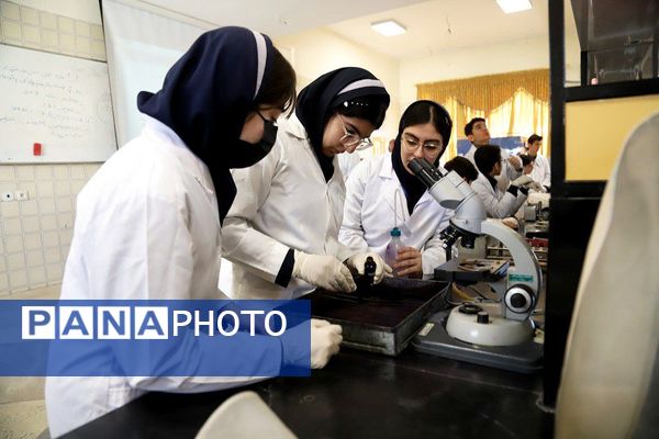 دوره‌های آموزشی هشتمین کارسوق ملی مهندسی ژنتیک در زنجان