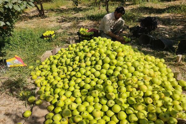 فصل زیبای پاییز در شهر بار نیشابور 