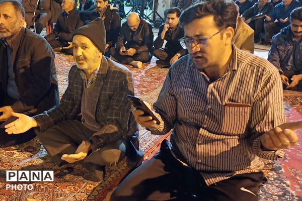 جشن مردمی ولادت امام رضا(ع) در آباده