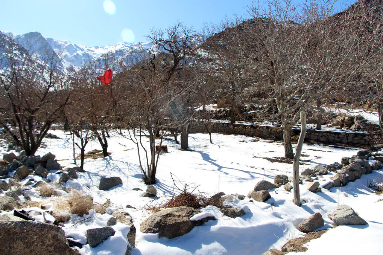 روز برفی و دل انگیز ده‌بالا یزد