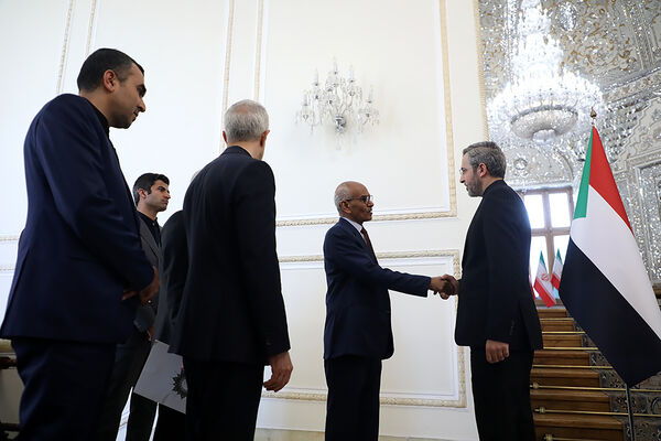 دیدار وزیر امور خارجه سودان با سرپرست وزارت امور خارجه