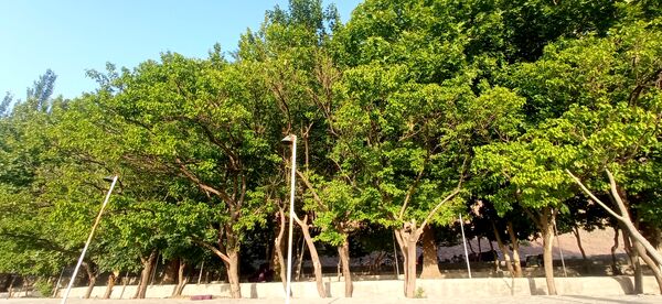 مزار گردشگری کلاته بایزید، گوهر پنهان طبیعت در دل کوهستان 