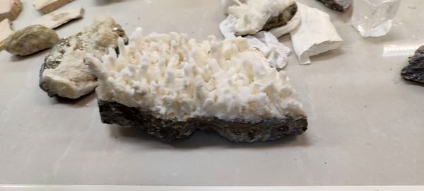 برگزاری اردوی علمی دانش‌آموزان مدرسه سعادت در دانشگاه هرمزگان