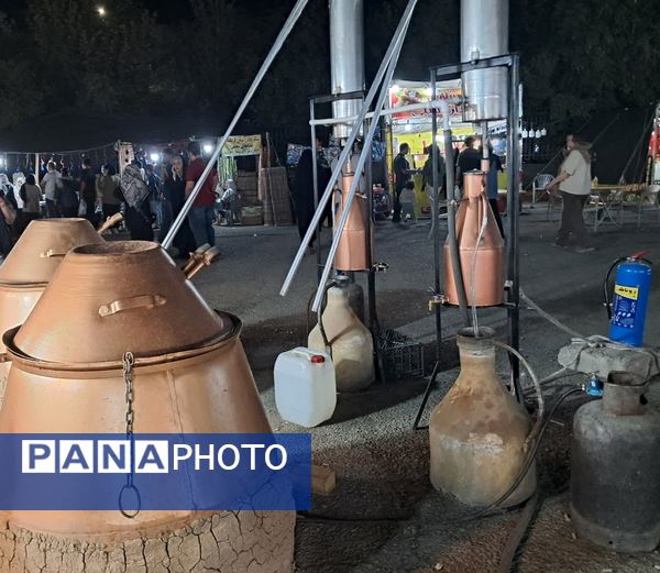 بازدید از نمایشگاه پاییزه سفر به شهرهای ایران