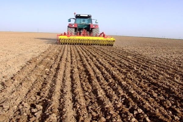 آغاز کشت پاییزه در 21 شهرستان آذربایجان شرقی