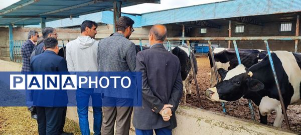 بازدید مدیر کل دفتر فنی و حرفه‌ای و کار دانش وزارت آموزش و پرورش از شهرستان سملقان