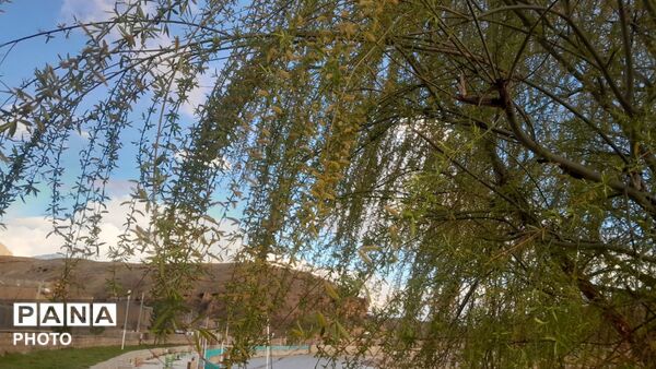 پارک ساحلی و رود خروشان کاج، تجربه‌ای هنری در دل طبیعت