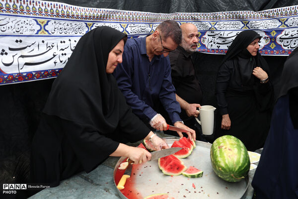 پیاده‌روی جاماندگان اربعین در تهران - 4