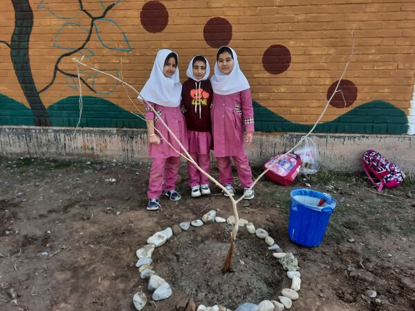 مراسم کاشت نهال در دبستان سید قطب رادکان 