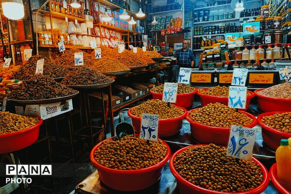 از آباده تا گیلان؛ سفری به سرزمین باران و جنگل‌های همیشه‌سبز