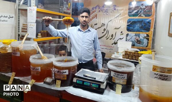 نمایشگاه ملی «روستاآباد» در نمایشگاه بین‌المللی مشهد