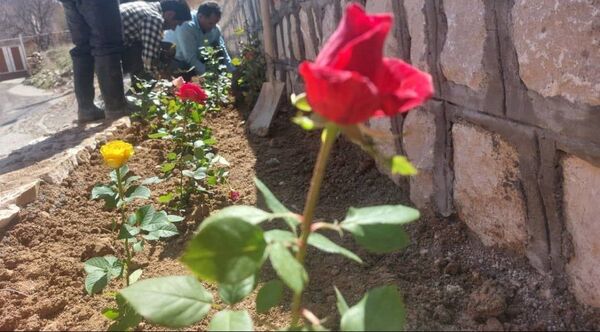 کاشت گل و گیاه در شهر منج، راهی برای احیای زمین