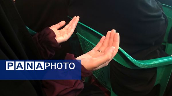 اعیاد شعبانیه در شهر بن 