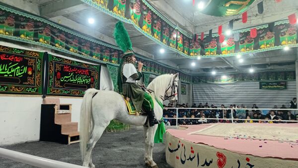 عطر غربت فاطمی در مارکده پیچید