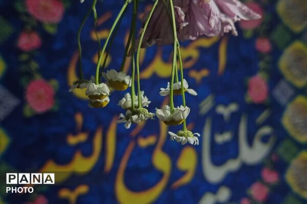 نبض شهر به عشق علی(ع) تپید