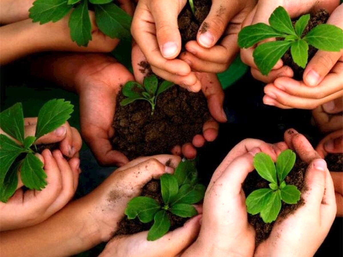 روز درختکاری، فرصتی برای تجدید عهد با طبیعت و یادآوری اهمیت درختان در زندگی است