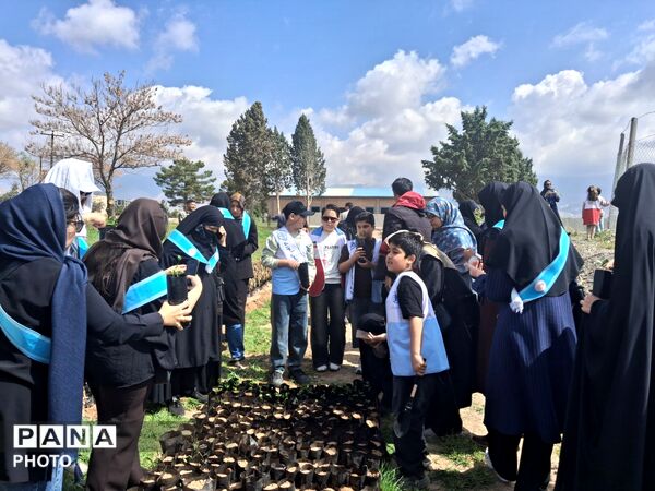کاشت نهال به یاد شهدا  در نیشابور