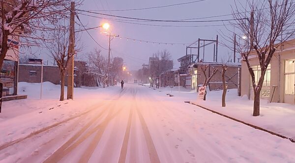 نسر در آغوش برف بهاری؛ زیبایی طبیعت دوچندان شد 