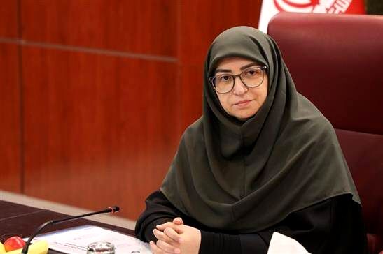 انصاری: معضلات زیست‌محیطی بدون مشارکت زنان و بخش خصوصی حل نمی‌شود