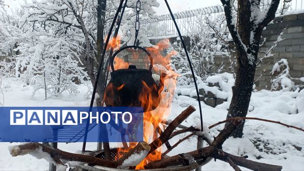 بارش برف در ارتفاعات شاندیز