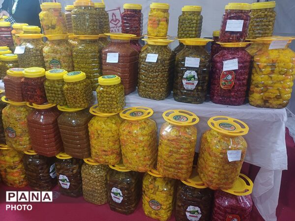 نمایشگاه گل و گیاه و سوغات در همدان