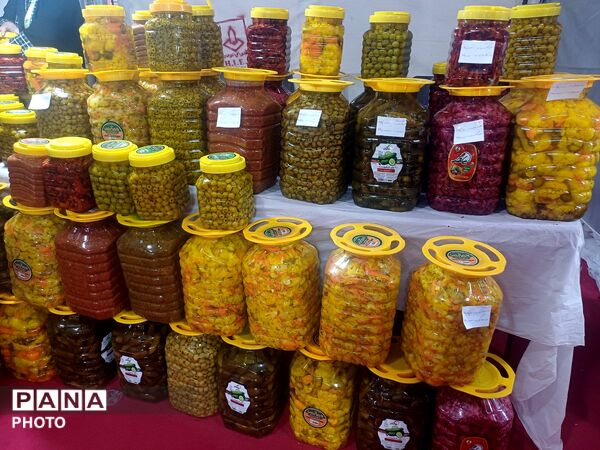 نمایشگاه گل و گیاه و سوغات در همدان