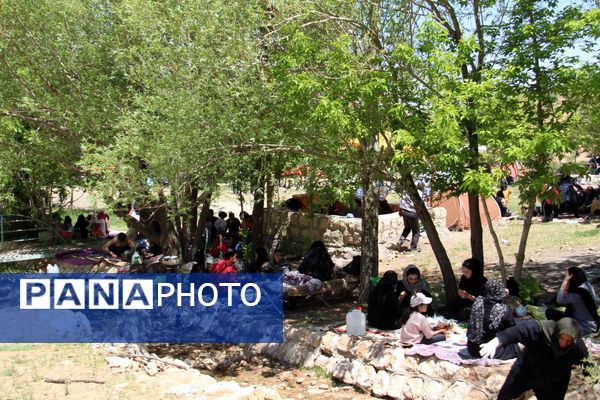 ویژه برنامه نکوداشت روز وانان