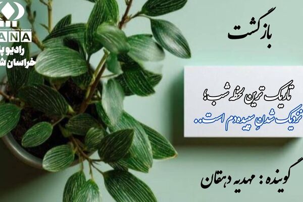 «دوباره از نو: هنر برخاستن از میانِ خاکسترِ شکست‌ها»
