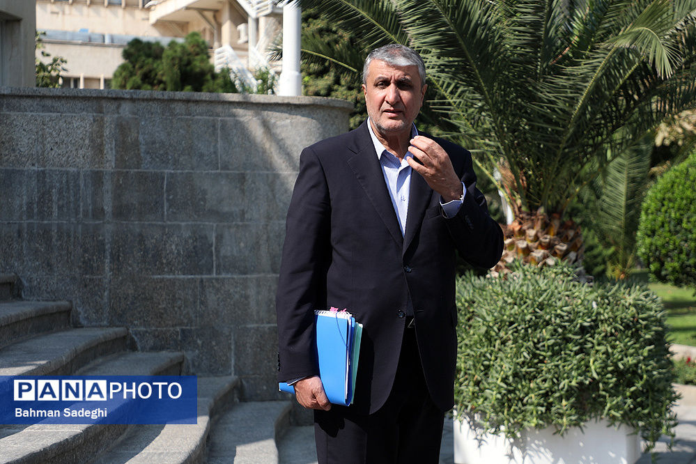 رئیس سازمان انرژی اتمی به پویش «دو درجه کمتر» پیوست