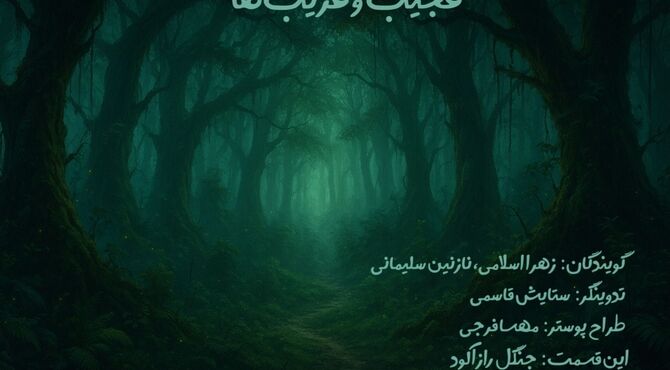 جنگل راز آلود، یکی از زیبایی‌های طبیعت 