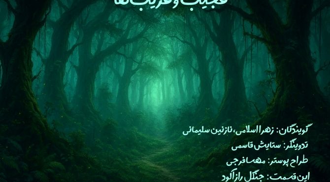 جنگل راز آلود، یکی از زیبایی‌های طبیعت 
