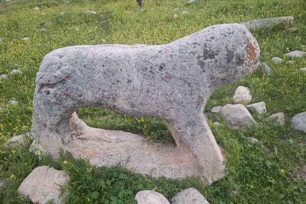 قبرستانی تاریخی و سرسبز به قدمت چند صد ساله در فارس
